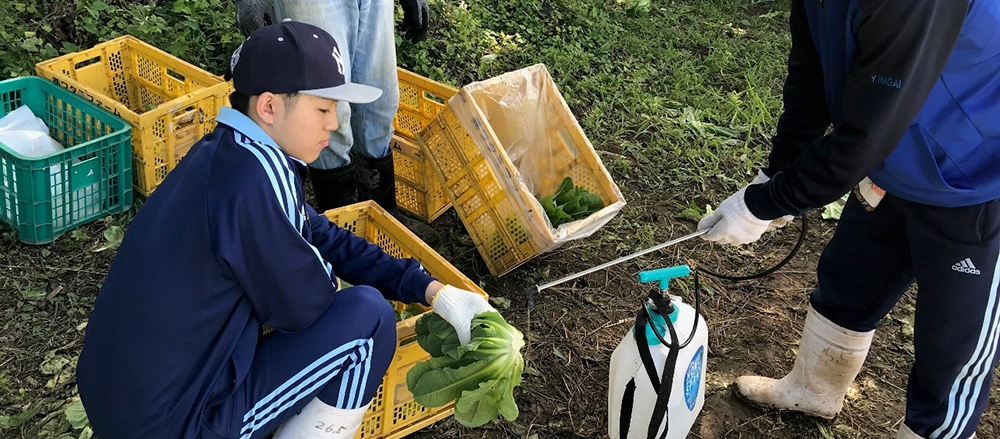 スクーリング活動内容