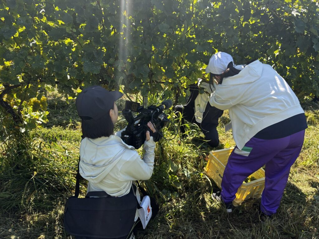 上田ケーブルビジョンに取材いただきました！「東御市の一員になろうプロジェクト」がUCVで放送されました